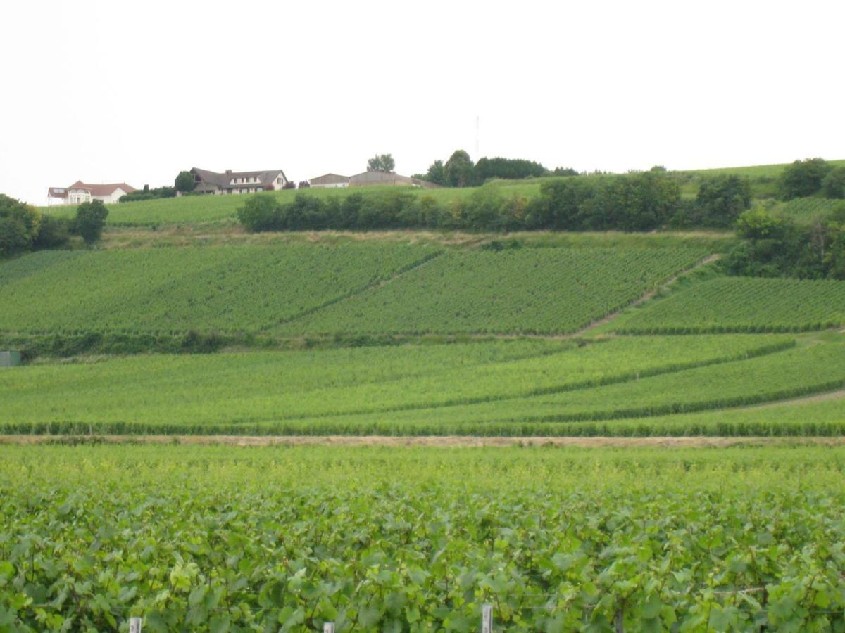 La Chambre D'Amis La Costignieres Montgueux Exteriör bild