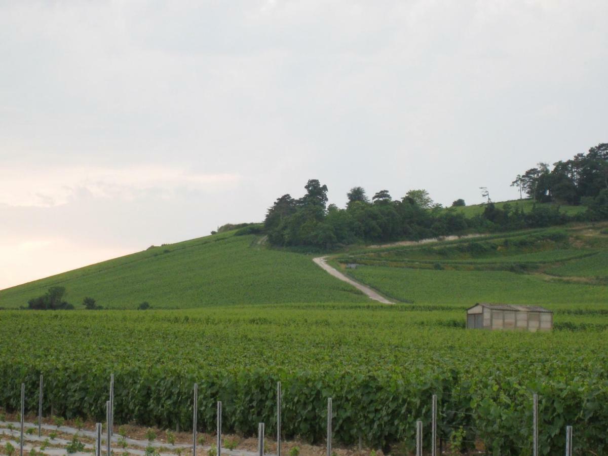 La Chambre D'Amis La Costignieres Montgueux Exteriör bild